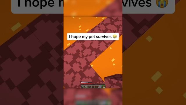 Saving my SNIFFER in Minecraft ? #shorts смотреть онлайн