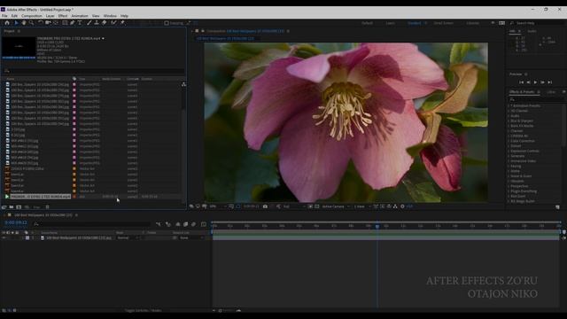 1.1 DASTUR BILAN TANISHUV || AFTER EFFECTS O'ZBEK TILIDA AFTER EFFECTS ZO'RU смотреть онлайн