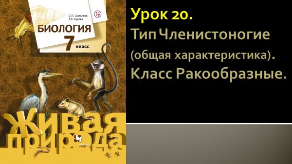 Урок 20. Тип Членистоногие (общая характеристика). Класс Ракообразные
