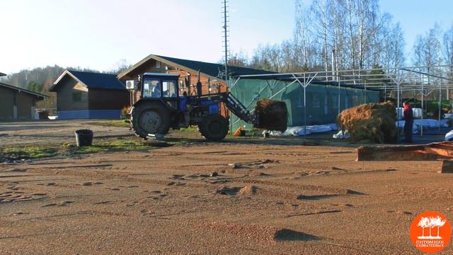 Подготовка растений с закрытой корневой системой к зиме смотреть онлайн