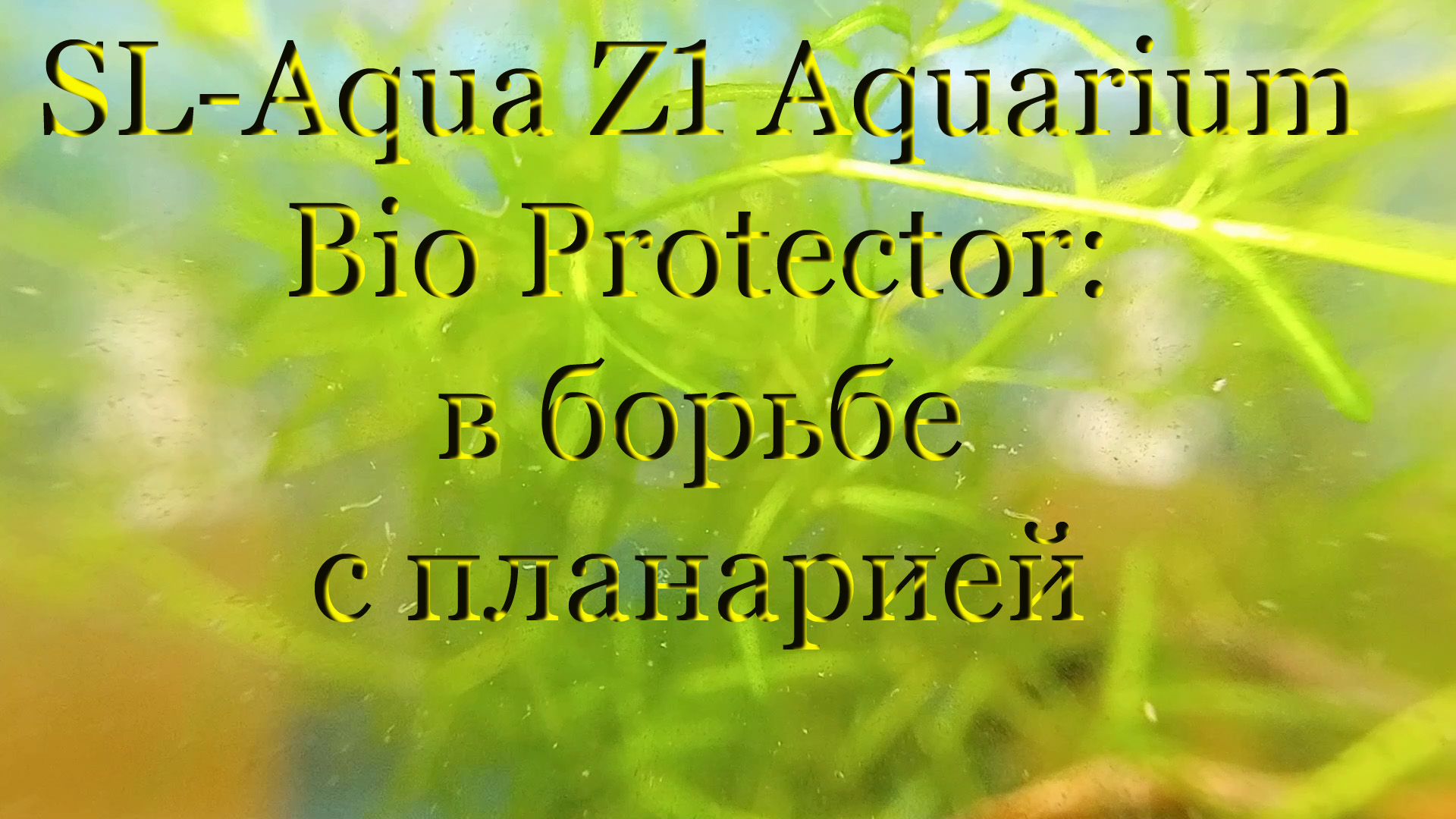 #SL-Aqua Z1 Aquarium Bio Protector: борьба с планарией, гидрами в аквариуме с креветками. смотреть онлайн