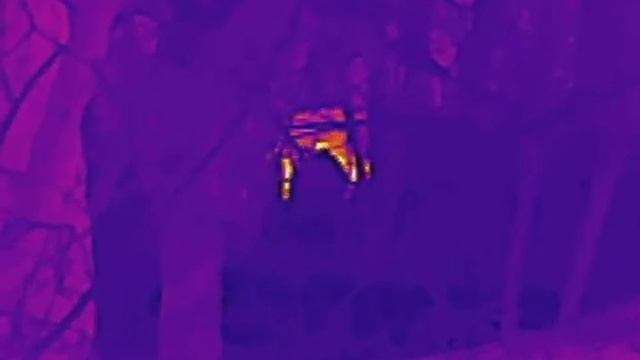 Termowizor INFIRAY E3 MAX V2 ircsklep pl смотреть онлайн