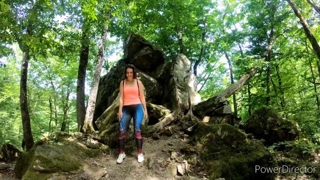 Стихотворение: "Не понимают. Не поймем... " Автор: Грамотина Анастасия смотреть онлайн