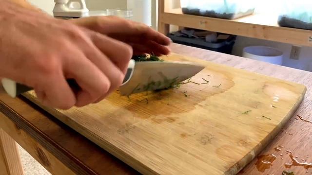 How to Propagate Java Moss!!! | Tissue Culture Java Moss Experiment!!! смотреть онлайн