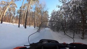 ВСТРЕТИЛИ 4 ЛОСЕЙ!!! // ПОКАТУШКА НА СНЕГОХОДАХ BRP LYNX YETI PRO V800 И BRP LYNX RANGER 550!!!