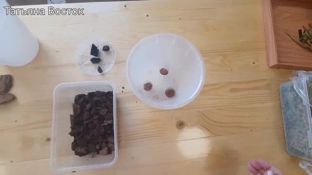 Наращивание корней во мхе! смотреть онлайн