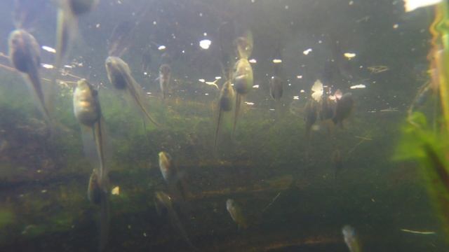 A World Unseen смотреть онлайн