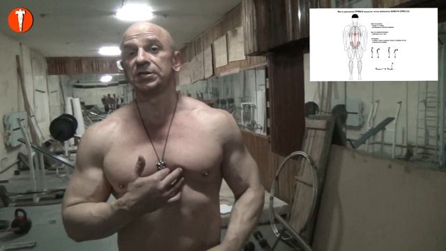 С каких упражнений начинать. Культуризм. Натуральный бодибилдинг смотреть онлайн