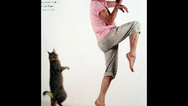 The Valentines _ My old man's a groovy old man смотреть онлайн