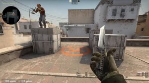 новая редкая анимация в CS GO на паракорд (на 9 секунде)