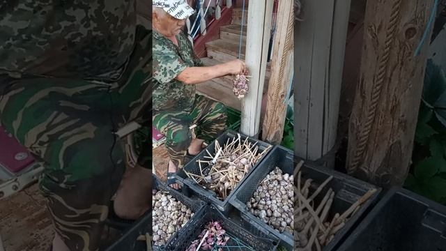 готовлю чеснок для хранения и посадки смотреть онлайн