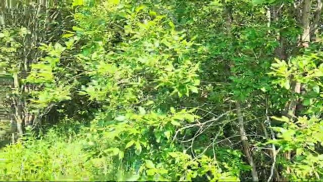 Видео 1406 смотреть онлайн