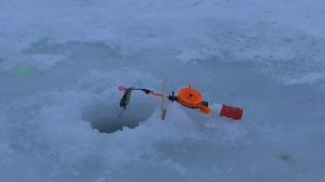 Рыбалка в Игумново   Дурниха