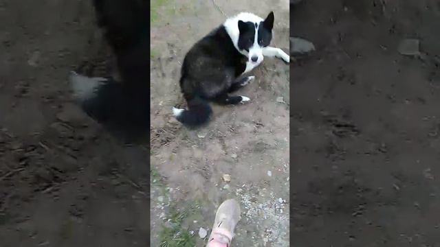 ХАН+БАСЯ=ЛЮБОВЬ смотреть онлайн