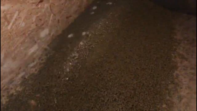 Запуск соевого экструдера Экспро М. Отзыв от заказчика. смотреть онлайн