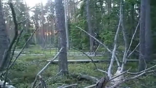 Загадочные существа 8 Призраки, гномики, Йети смотреть онлайн