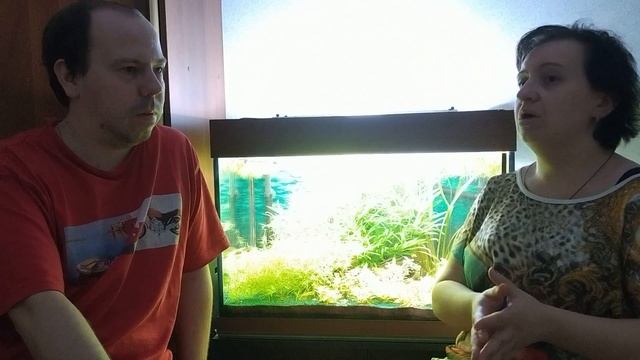 Можно ли считать отдых в Тунисе альтернативой Египту, Турции и Крыму? Рассматриваем плюсы и минусы. смотреть онлайн