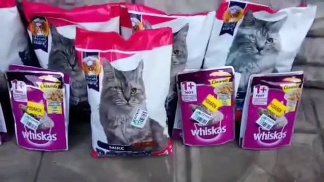 Корм для кошек Пан пёс смотреть онлайн