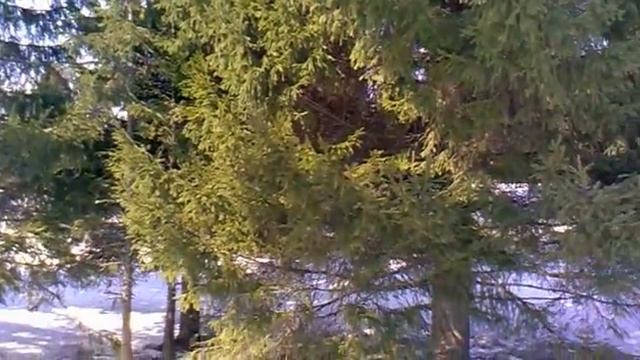 Королева красоты. Апрель 2014. смотреть онлайн