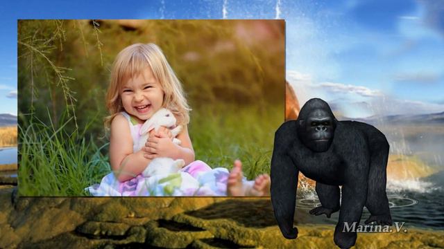 В мире животных | Animal world | Free project ProShow Producer смотреть онлайн