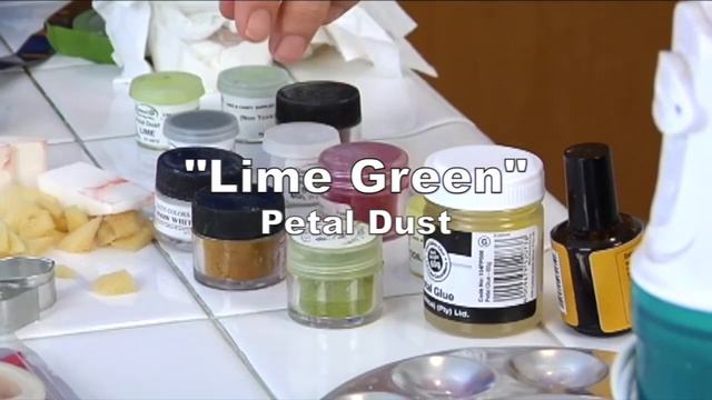 Gum Paste Succulent Elegant Buttercream Wedding Cake Decorating How-to Video Course Part 1 смотреть онлайн