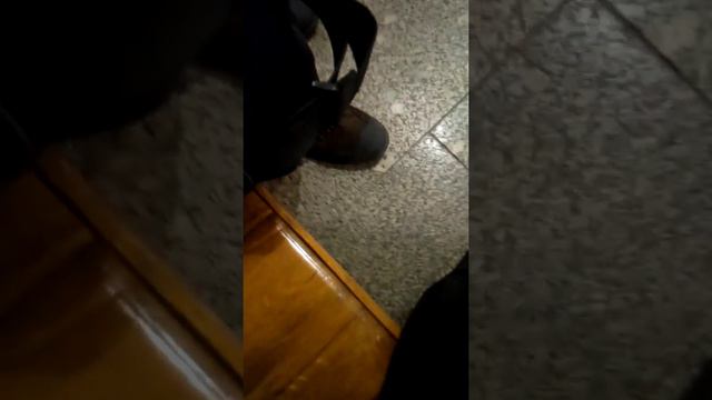 Обзор Станции Метро Коньково КРЛ смотреть онлайн