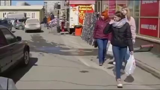 Собака водитель. Мем канал Fanni keed смотреть онлайн