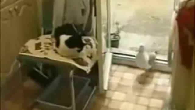 Наглость второе счастье смотреть онлайн