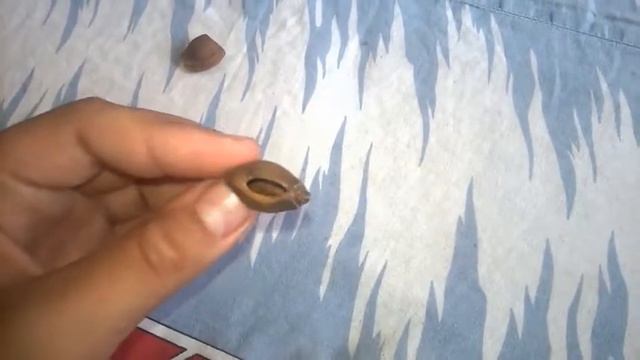 DIY:свисток смотреть онлайн