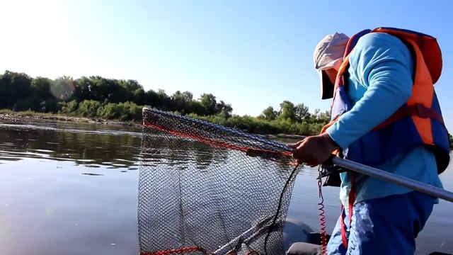 Garmin Striker PLUS 7SV с контурами Quickdraw Contours на рыбалке на судака смотреть онлайн