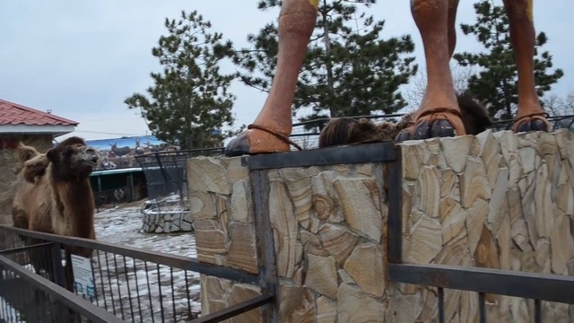 Кокетка МАРГО ! смотреть онлайн