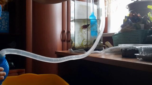 Братья наши меньшие или из жизни петушков. смотреть онлайн