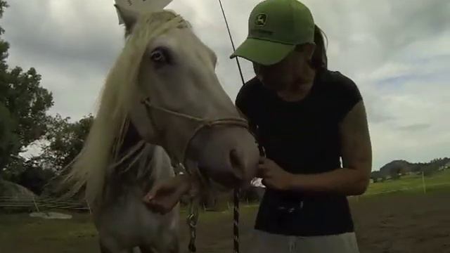 20130724 смотреть онлайн