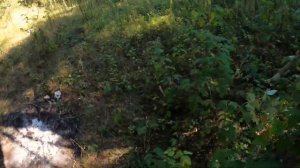 На велосипеде по АЛТАЮ 1 НАЧАЛО  СТРАННИК АРТУР