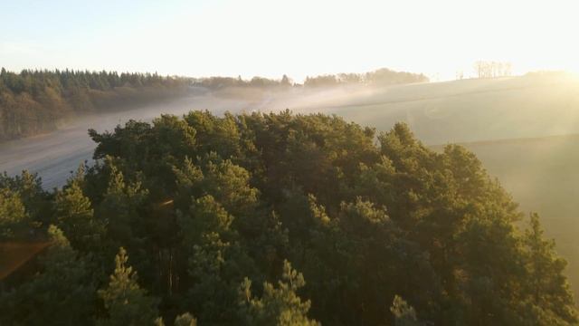 Фиолетовое пламя это незримая энергия смотреть онлайн