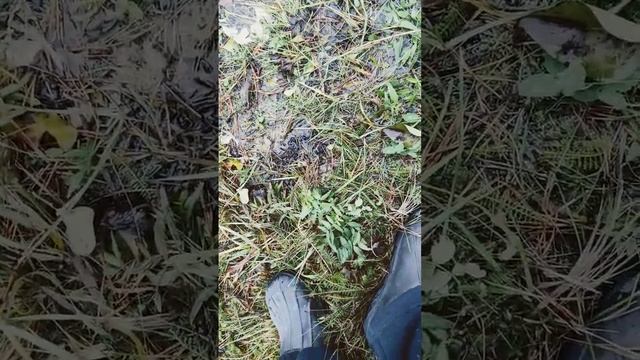 3 ЧАСТЬ НЕУЖЕЛИ ПРИКЛЮЧЕНИЕ? смотреть онлайн