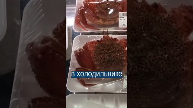 Зомби-краб сбегает из холодильника смотреть онлайн
