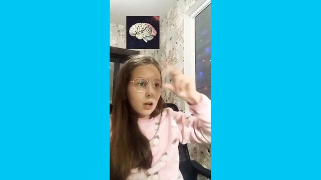 Если бы сердце и мозг были людьми скетч смотреть онлайн