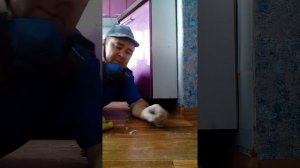 Как очистить линолиум от краски.