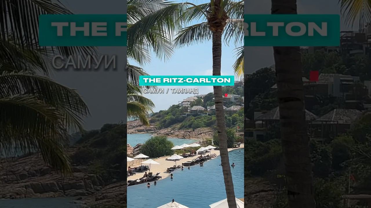 Полный обзор смотрите в профиле! #отдых #таиланд #путешествия #турагентство #самуи #shorts смотреть онлайн