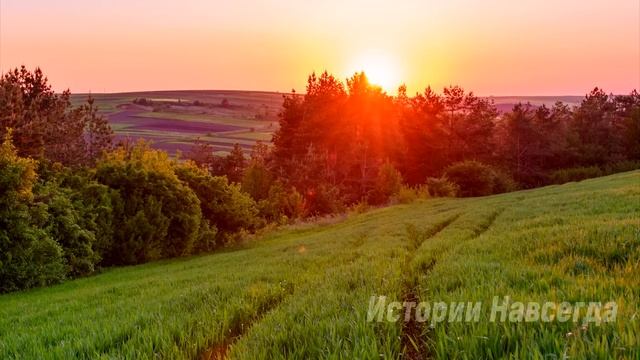 По совету свекрови муж вывез умирающую жену в глушь. А приехав через год за наследством… смотреть онлайн
