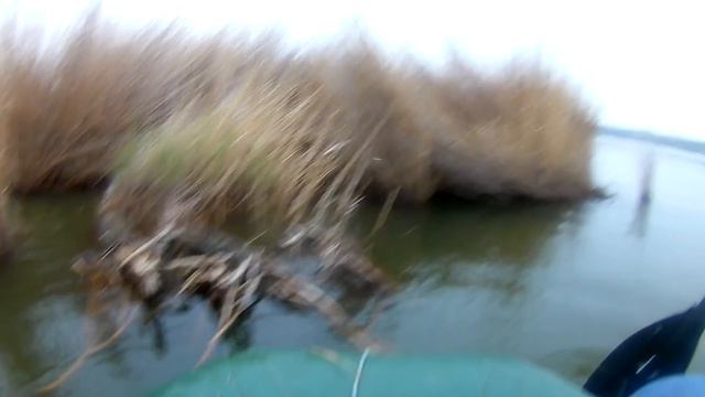 13 апреля,Кивок на карпа Сухой лиман смотреть онлайн