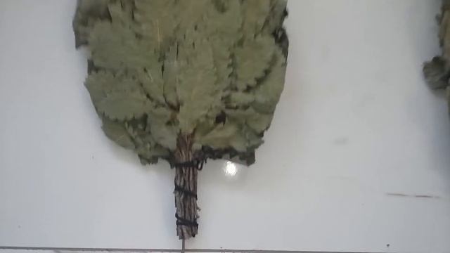 Обзор дубовых веников смотреть онлайн