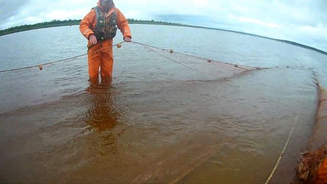 рыбалка с неводом Северная Двина Архангельская область смотреть онлайн