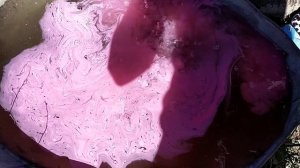 КАРТОФЕЛЬ: ОБРАБОТКА ПРЕПАРАТОМ "ТАБУ" ПЕРЕД ПОСАДКОЙ