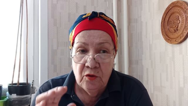 Шалот. Посадка луковицами. Особенности. смотреть онлайн