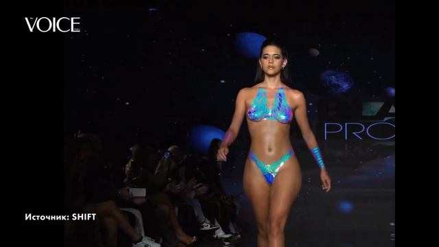 The Black Tape Project