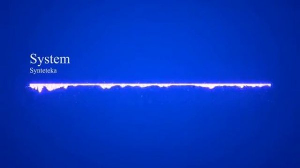 Synteteka   System