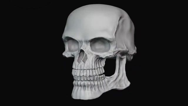 spinning skull with guitar riff at the end смотреть онлайн