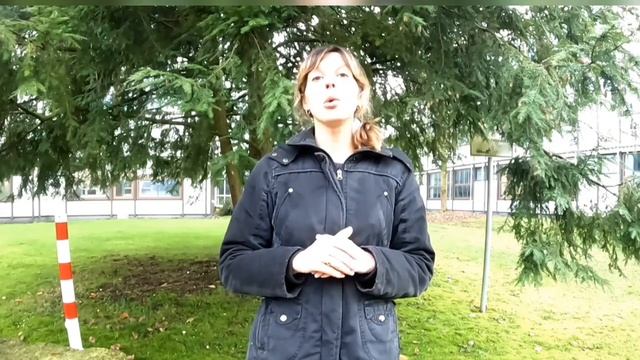 как записаться к врачу в Германии?/как изучить язык в Германии?/ беженцы в Германии смотреть онлайн